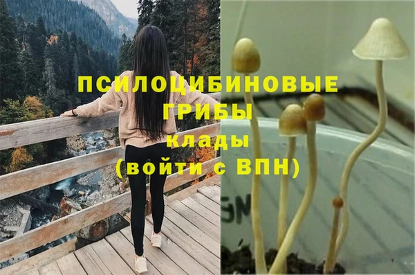 герыч Аркадак