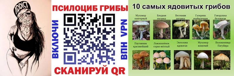darknet как зайти  Новодвинск  Галлюциногенные грибы GOLDEN TEACHER  где продают  