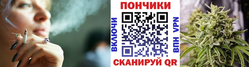 Бошки марихуана сатива  купить наркотик  Новодвинск 